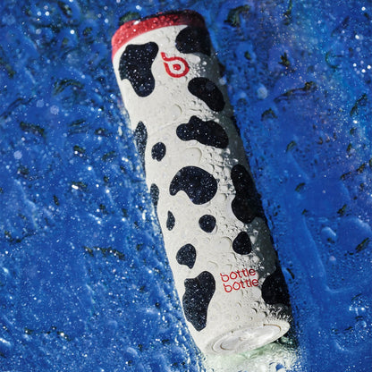 Insulated Water Bottle 24oz